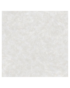 Обои бумажные на бумажной основе Ф829-06 10.05*0.53 Саратовские обои