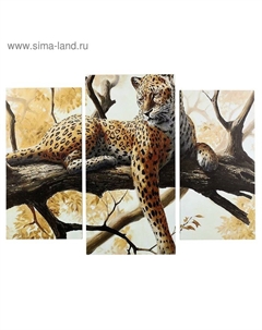 Картина модульная на подрамнике «Гепард на отдыхе», (2-25×50, 30×60 см), 80×60 см Сюжет
