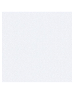 Обои бумажные на бумажной основе Ф749-01 10.05*0.53 Саратовские обои