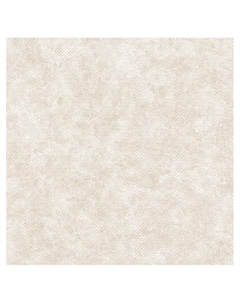 Обои бумажные на бумажной основе Ф868-02 10.05*0.53 Саратовские обои