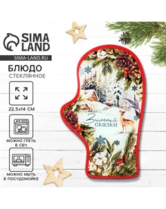 Блюдо новогоднее «Зимней сказки», 22.5×14×2 см Дорого внимание