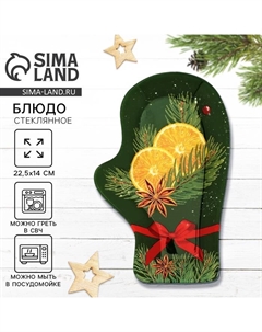 Блюдо новогоднее «Сочный Новый год», 22.5×14×2 см Дорого внимание