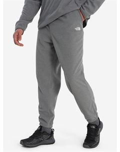 Брюки флисовые мужские Glacier, Серый The north face