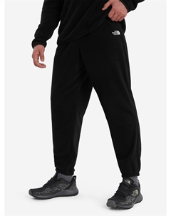 Брюки флисовые мужские Glacier, Черный The north face