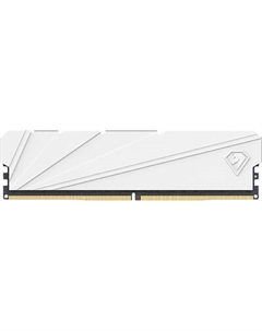 Оперативная память DDR4 Netac NTSSD4P32SP-16W