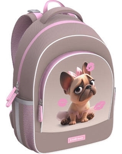 Школьный рюкзак Erich Krause ErgoLine 15L Frenchie / 64881 Erich krause