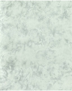 Бумажные обои Гомельобои Флауверс фон к-71 24ДТР