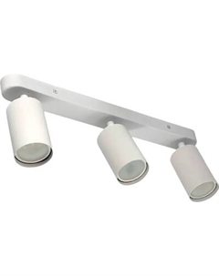 Спот Truenergy 21363