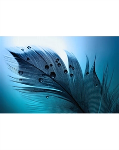 Фотообои листовые Citydecor Абстракция 230