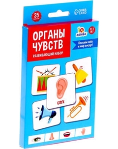 Развивающая игра Zabiaka Органы чувств / 7160248