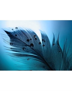 Фотообои листовые Citydecor Абстракция 230