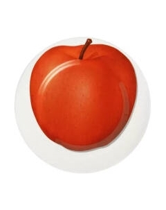 Тарелка столовая обеденная Taitu Freedom Apple 1-81-C