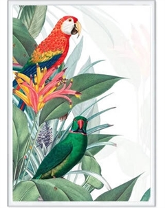 Постер Citydecor Попугайчики 8