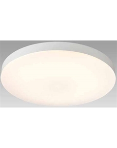 Потолочный светильник Sonex Gamma 7759/24L