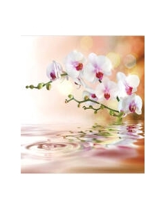 Шторка-занавеска для ванны JoyArty Нежная орхидея / sc_2601 Joyarty