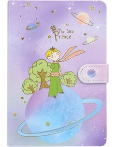 Записная книжка Darvish Маленький принц / DV-15422-3