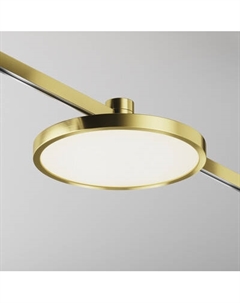 Трековый светильник Maytoni Plato Flarity TR153-1-10W4K-BS