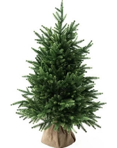 Ель искусственная National Tree Company Сиера СР-90 National tree company