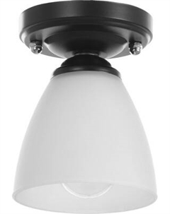 Потолочный светильник BayerLux 91312/1 / 4901116 Bayerlux