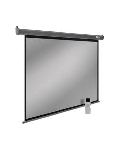 Проекционный экран Cactus SIlverMotoExpert CS-PSSME-200X150-DG