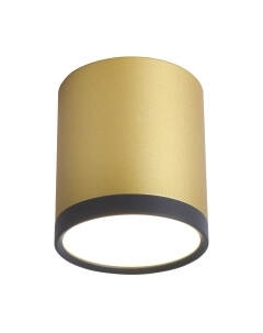 Потолочный светильник FAVOURITE 3082-1C Favourite