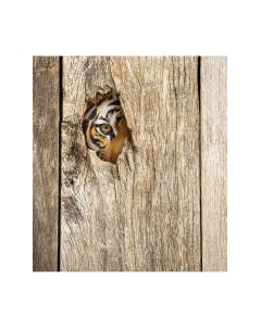 Шторка-занавеска для ванны JoyArty Подглядывающая опасность / sc_12725 Joyarty