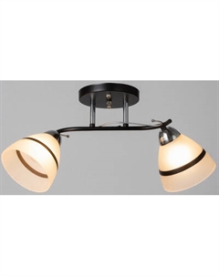 Потолочный светильник BayerLux Лайма / 10352886 Bayerlux