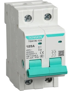 Выключатель нагрузки Tengen TGH1N-125 2P 20A 2M / TEN340010
