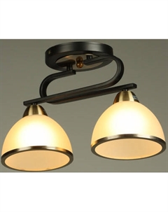 Потолочный светильник BayerLux Рендо / 10352905 Bayerlux