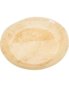 Тарелка столовая обеденная Luminarc Artasym Ascerta X0068