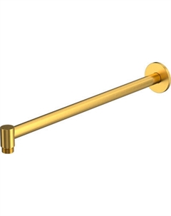 Душевой кронштейн Whitecross Y1309GLB