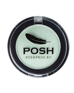 POSH Монохромные Мелкодисперсные высокопигментированные Влагостойкие тени №8 Poshprof.ru