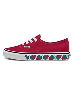 Authentic Series Кроссовки для скейтбординга Низкие Vans