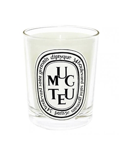 Ароматическая свеча Muguet 190 Diptyque