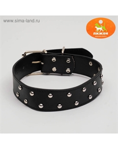 Ошейник клепаный в 2 ряда, 63,5 х 3,8 см, черный Пижон