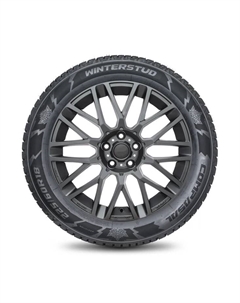 Шина зимняя шипованная Winter Stud 215/55 R17 98T Compasal