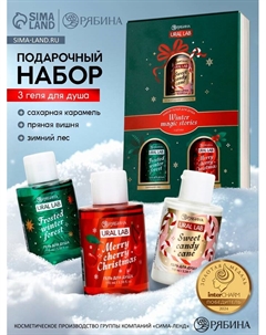 Гель для душа Winter magic stories, набор 3 шт. х 100 мл Ural lab
