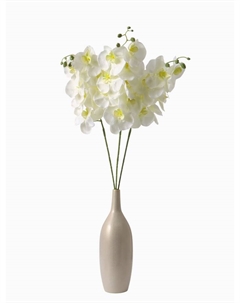 Цветы искусственные «Орхидея Изящная», 10×100 см, белые Poetry in flowers