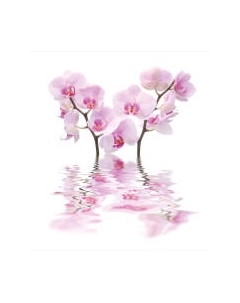 Шторка-занавеска для ванны JoyArty Плавучие цветы / sc_17601 Joyarty