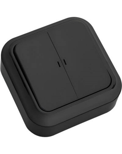 Выключатель Bylectrica Пралеска А5 10-215