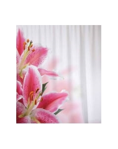 Шторка-занавеска для ванны JoyArty Нежность лилий / sc_55142 Joyarty