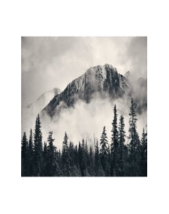 Шторка-занавеска для ванны JoyArty Лесная дымка / sc_22018 Joyarty