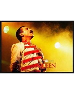 Постер Citydecor Freddie Mercury 2
