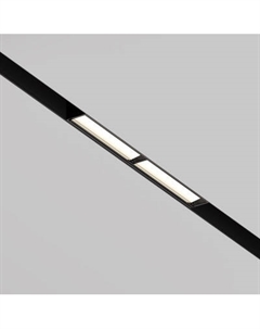 Трековый светильник Maytoni TR106-2-12W4K-B