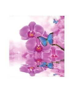 Шторка-занавеска для ванны JoyArty Бабочка на орхидее / sc_11023 Joyarty