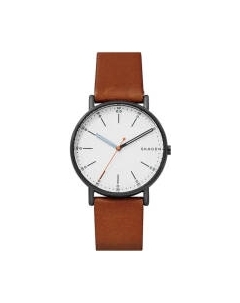 Часы наручные мужские Skagen SKW6374