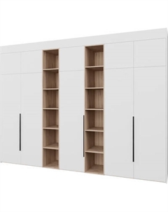 Шкаф Рэйгрупп Рэй S262-В17-1-EBЕ В17-1