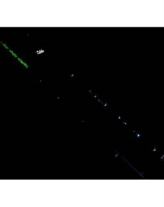 Спиннинг Dayo Serein Carbon 30T FuJi guides C.W. 0.3-3гр / 16131-03/3-1.98
