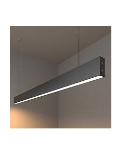 Потолочный светильник Elektrostandard 101-200-30-128 25W 3000K