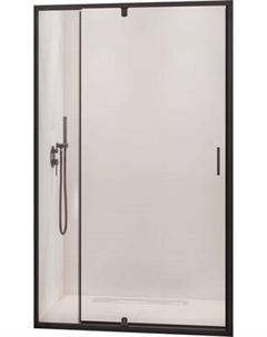 Душевая дверь RGW PA-008B / 350800878-14 Rgw
